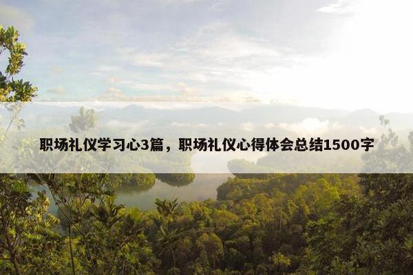 职场礼仪学习心3篇，职场礼仪心得体会总结1500字