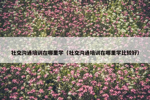 社交沟通培训在哪里学（社交沟通培训在哪里学比较好）