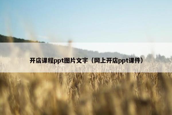 开店课程ppt图片文字（网上开店ppt课件）