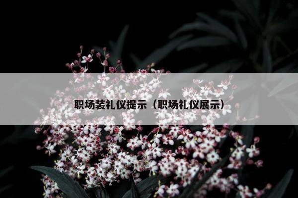 职场装礼仪提示（职场礼仪展示）