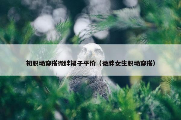 初职场穿搭微胖裙子平价（微胖女生职场穿搭）