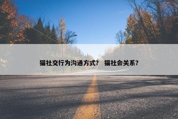 猫社交行为沟通方式？ 猫社会关系？