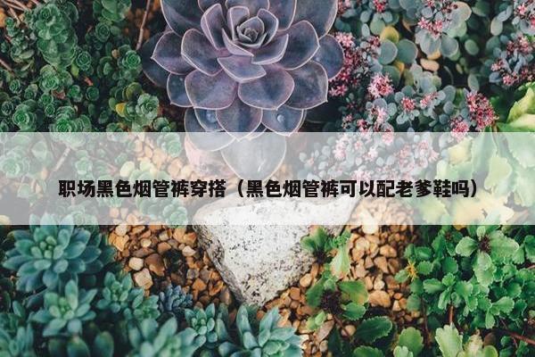 职场黑色烟管裤穿搭（黑色烟管裤可以配老爹鞋吗）