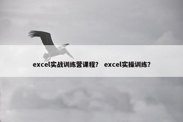 excel实战训练营课程？ excel实操训练？