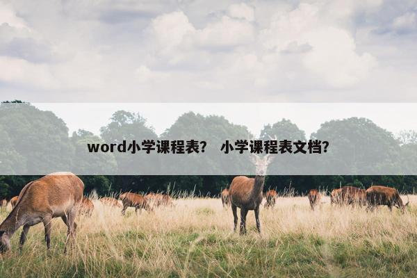 word小学课程表？ 小学课程表文档？