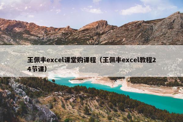 王佩丰excel课堂购课程（王佩丰excel教程24节课）