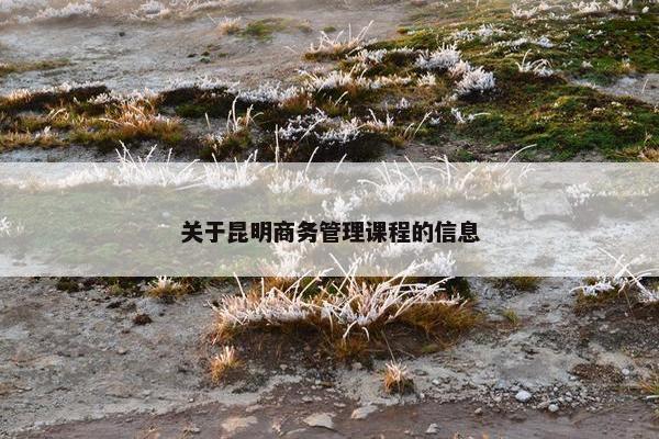 关于昆明商务管理课程的信息