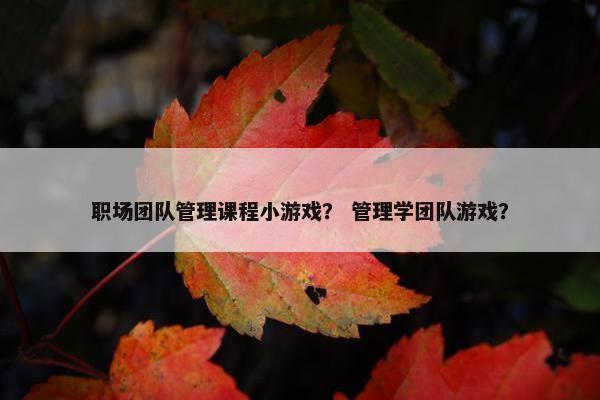 职场团队管理课程小游戏？ 管理学团队游戏？
