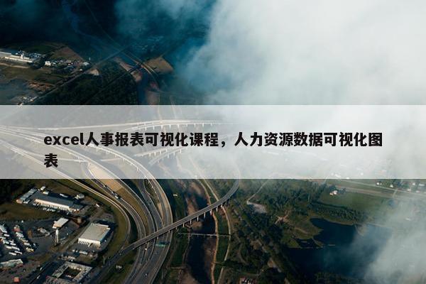 excel人事报表可视化课程，人力资源数据可视化图表