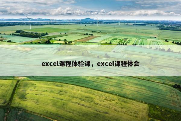 excel课程体验课，excel课程体会