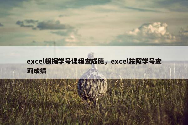 excel根据学号课程查成绩，excel按照学号查询成绩