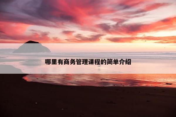 哪里有商务管理课程的简单介绍
