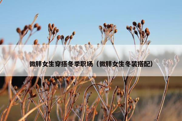 微胖女生穿搭冬季职场（微胖女生冬装搭配）