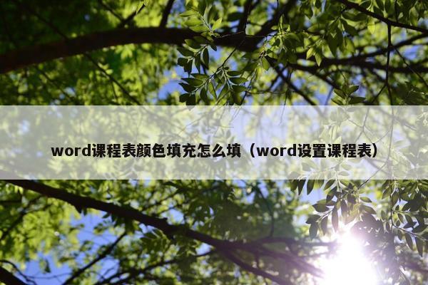 word课程表颜色填充怎么填（word设置课程表）