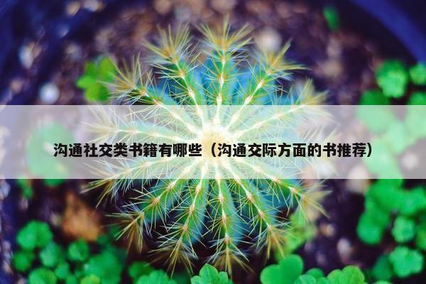 沟通社交类书籍有哪些（沟通交际方面的书推荐）