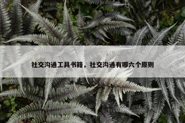 社交沟通工具书籍，社交沟通有哪六个原则