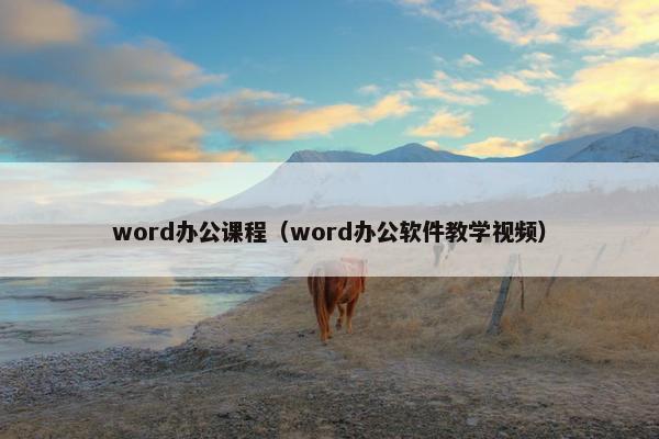 word办公课程（word办公软件教学视频）