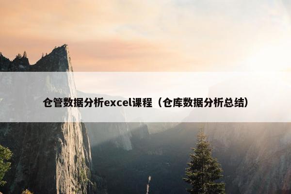 仓管数据分析excel课程（仓库数据分析总结）