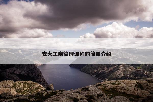 安大工商管理课程的简单介绍