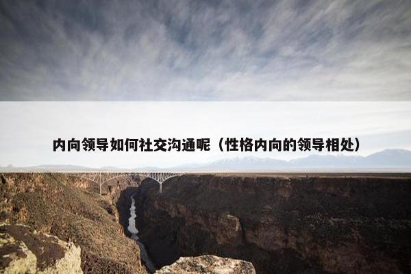内向领导如何社交沟通呢（性格内向的领导相处）