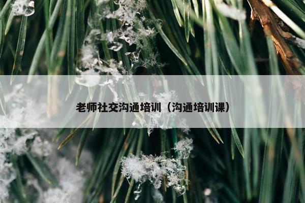 老师社交沟通培训（沟通培训课）