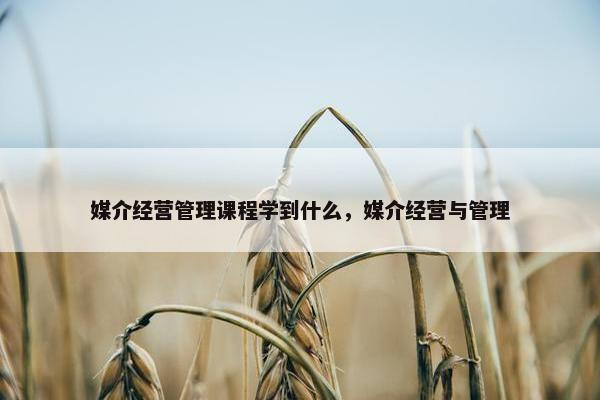 媒介经营管理课程学到什么，媒介经营与管理