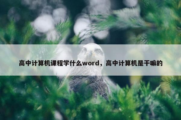 高中计算机课程学什么word，高中计算机是干嘛的