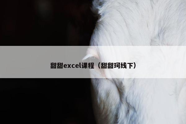甜甜excel课程（甜甜珂线下）