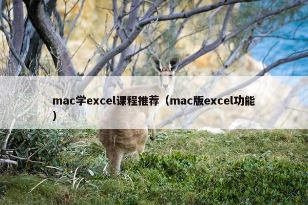 mac学excel课程推荐（mac版excel功能）