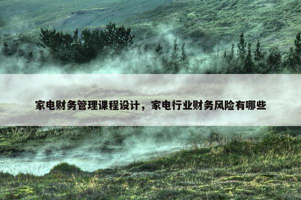 家电财务管理课程设计，家电行业财务风险有哪些