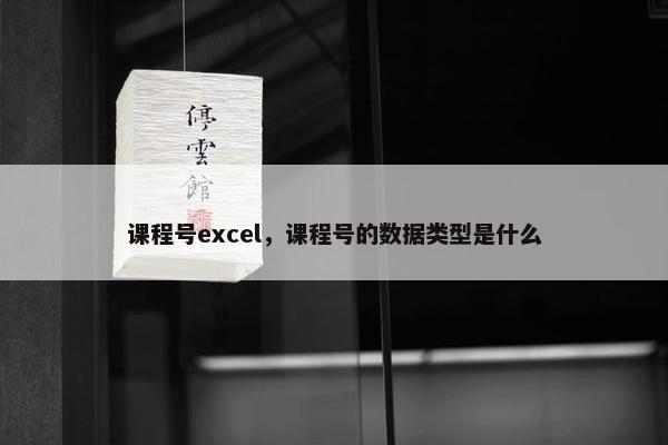 课程号excel，课程号的数据类型是什么
