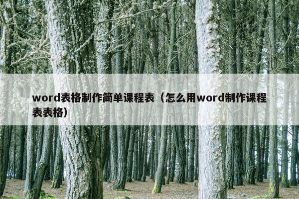 word表格制作简单课程表（怎么用word制作课程表表格）