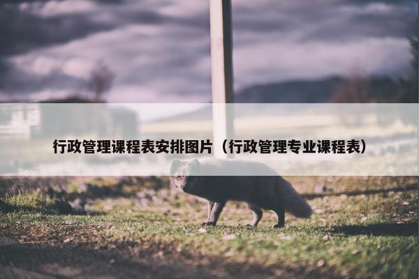 行政管理课程表安排图片（行政管理专业课程表）