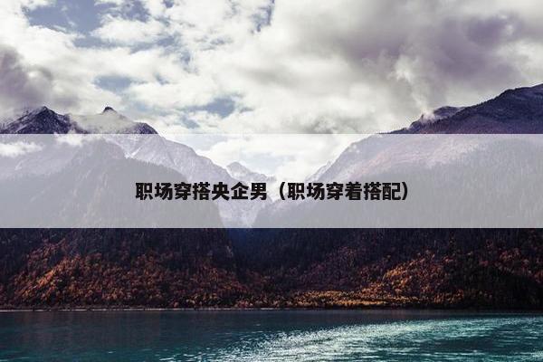 职场穿搭央企男（职场穿着搭配）