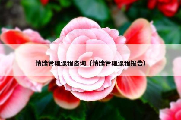 情绪管理课程咨询（情绪管理课程报告）