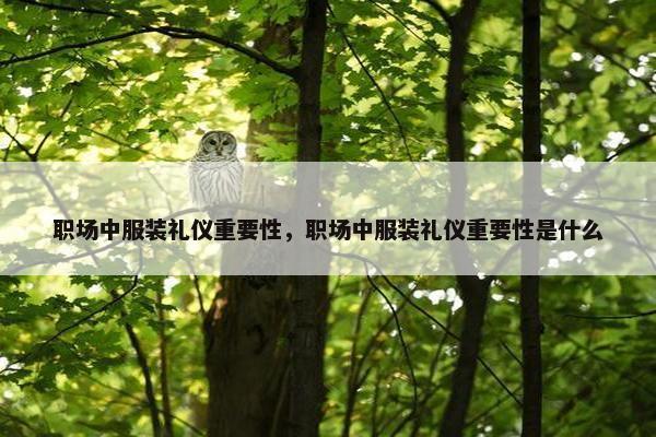 职场中服装礼仪重要性，职场中服装礼仪重要性是什么
