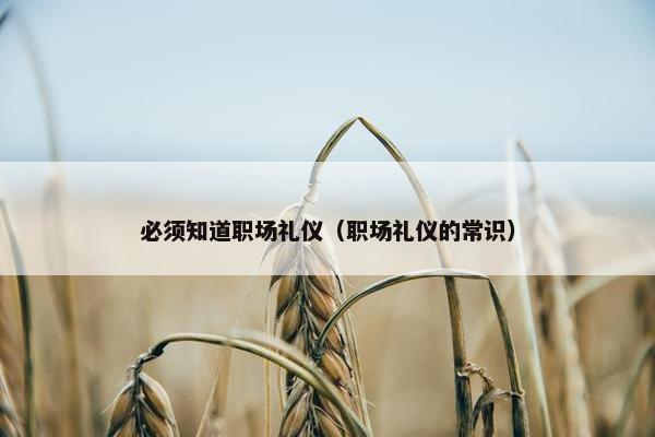 必须知道职场礼仪（职场礼仪的常识）