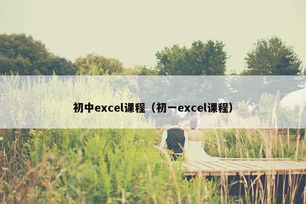 初中excel课程（初一excel课程）