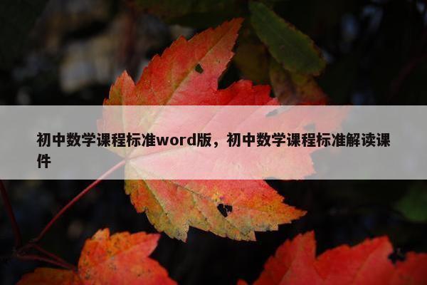 初中数学课程标准word版，初中数学课程标准解读课件