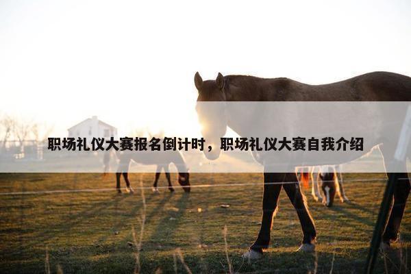 职场礼仪大赛报名倒计时，职场礼仪大赛自我介绍