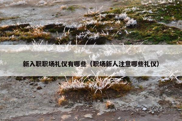 新入职职场礼仪有哪些（职场新人注意哪些礼仪）