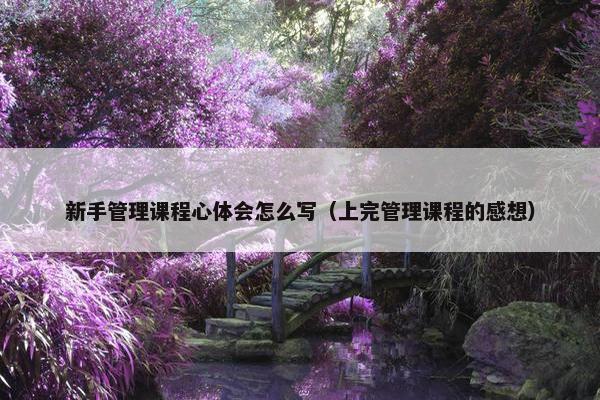 新手管理课程心体会怎么写（上完管理课程的感想）