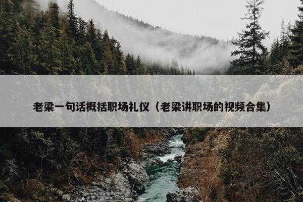 老梁一句话概括职场礼仪（老梁讲职场的视频合集）