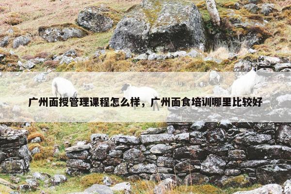 广州面授管理课程怎么样，广州面食培训哪里比较好