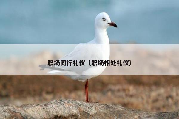 职场同行礼仪（职场相处礼仪）