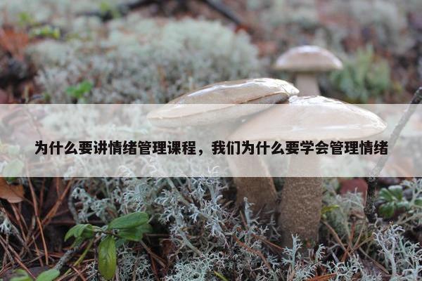 为什么要讲情绪管理课程，我们为什么要学会管理情绪