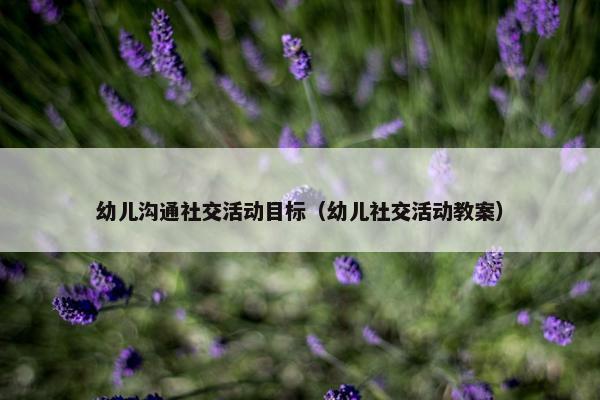 幼儿沟通社交活动目标（幼儿社交活动教案）
