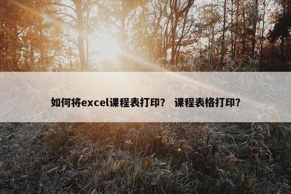如何将excel课程表打印？ 课程表格打印？