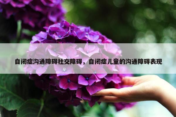 自闭症沟通障碍社交障碍，自闭症儿童的沟通障碍表现