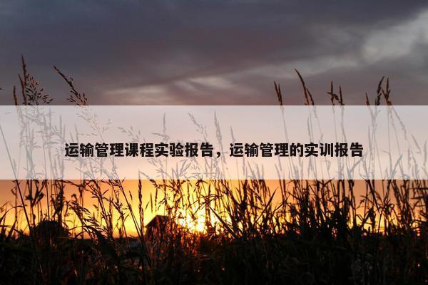 运输管理课程实验报告，运输管理的实训报告
